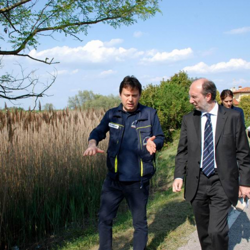 Consegna lavori n. 6 / 50713