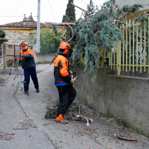 Interventi volontari (02/03/11) n. 10 / 61453