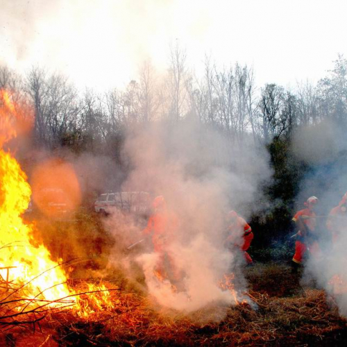 Polveriera 08 n. 7 / 31913