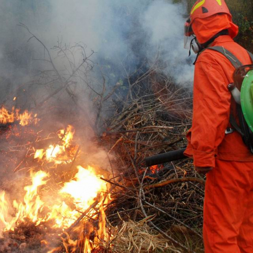 Polveriera 08 n. 8 / 31914