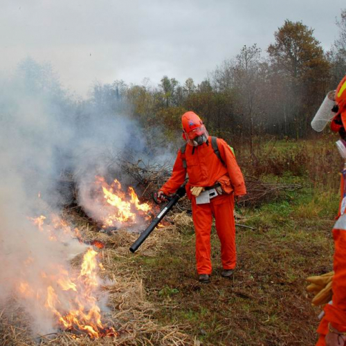 Polveriera 08 n. 9 / 31915