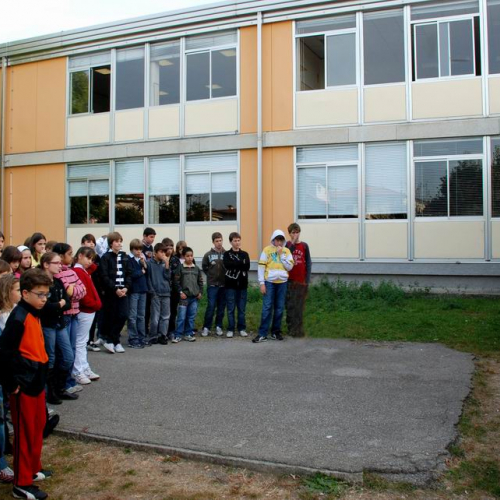 Addestramento Azzano 2008" 7""ddestramento """" / 31433