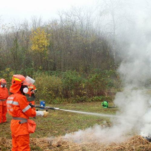 Polveriera 08 n. 11 / 31917