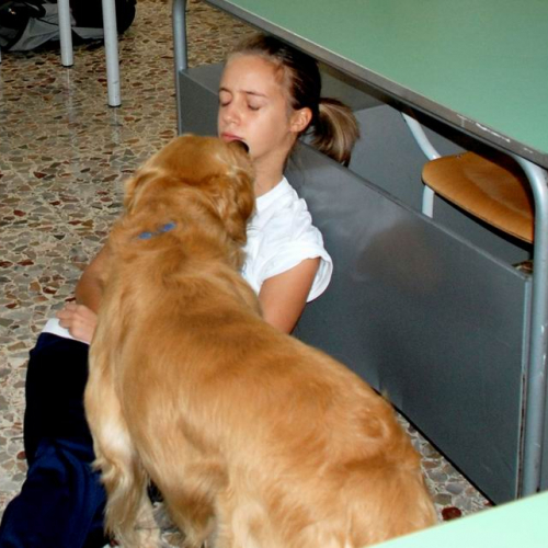 Addestramento Azzano 2008" 8""ddestramento """" / 31434