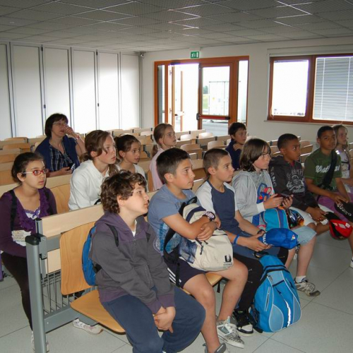 Progetto P.RI.S.M.A. (03/06/2011) n. 6 / 66819