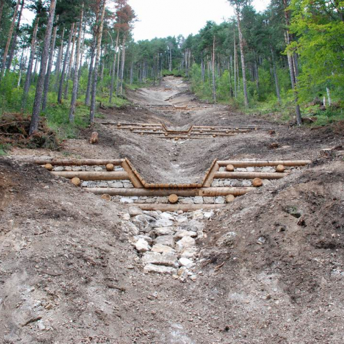Intervento strada comunale Val Dogna (CD6/017) n. 1 / 55349