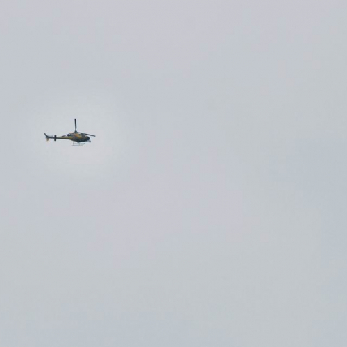 AIRSUBSAREX 2010 n. 18 / 60334