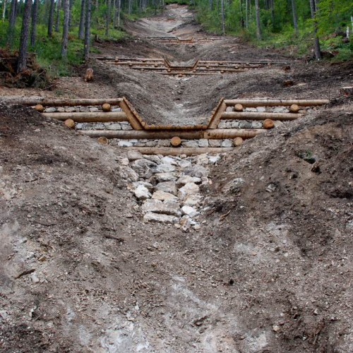 Intervento strada comunale Val Dogna (CD6/017) n. 3 / 55351
