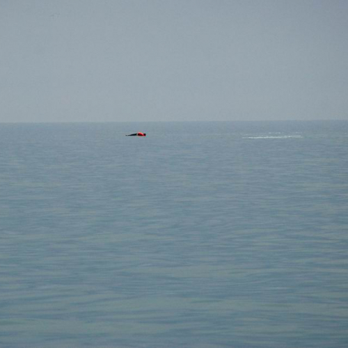 AIRSUBSAREX 2010 n. 19 / 60335