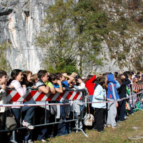 La Protezione Civile, un'amica speciale n. 19 / 30907