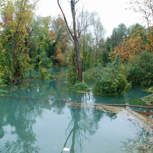 Evento alluvionale Pordenone n. 67 / 57685