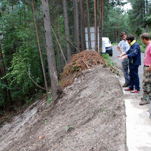Intervento strada comunale Val Dogna (CD6/017) n. 11 / 55359