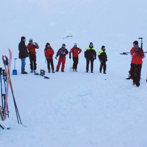 Testing Rivelatori Metalli ricerca persona sepolta da neve n. 14 / 60142