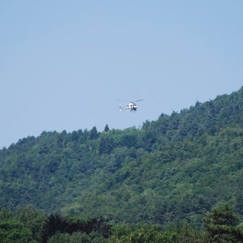 Testing Dispostivo ricerca dispersi (10/07/2010) n. 27 / 54291