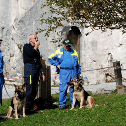 La Protezione Civile, un'amica speciale n. 29 / 30917