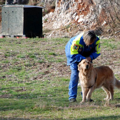 Foto Stage 25 marzo 24 / 49742