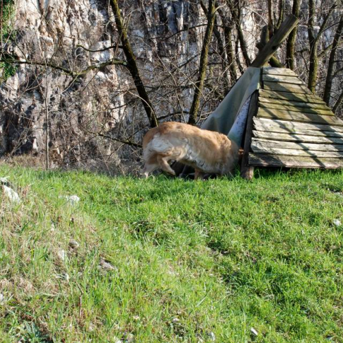 Foto Stage 25 marzo 25 / 49743