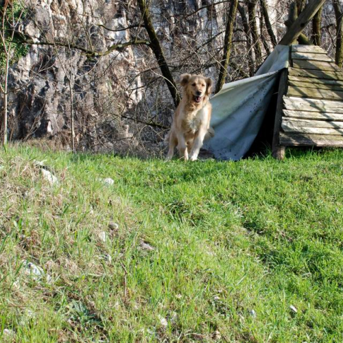 Foto Stage 25 marzo 26 / 49744