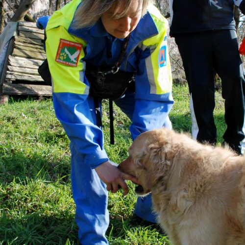 Foto Stage 25 marzo 27 / 49745