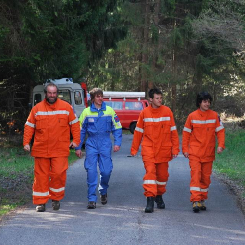 Forni di Sotto 2011 n. 13 / 64116