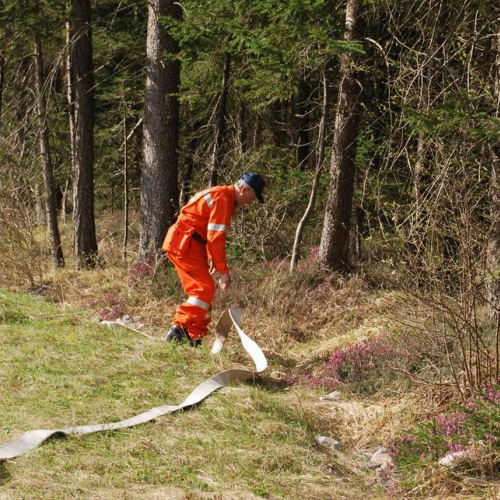 Forni di Sotto 2011 n. 16 / 64119