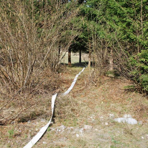 Forni di Sotto 2011 n. 25 / 64128