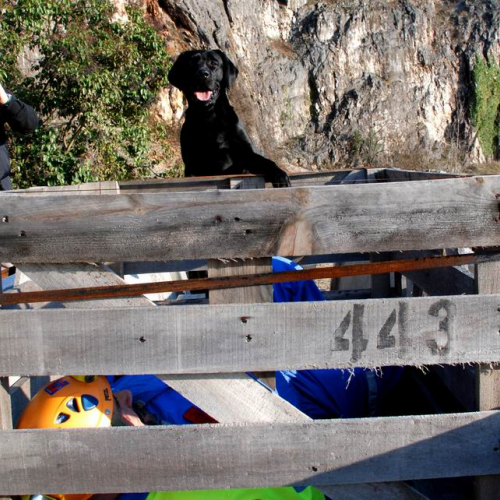 Foto Stage 25 marzo 33 / 49751