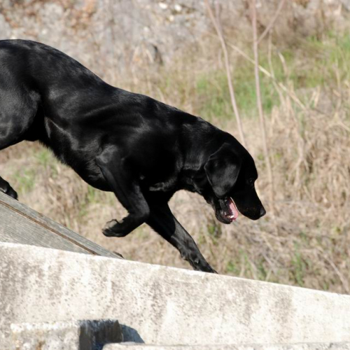 Foto Stage 25 marzo 34 / 49752