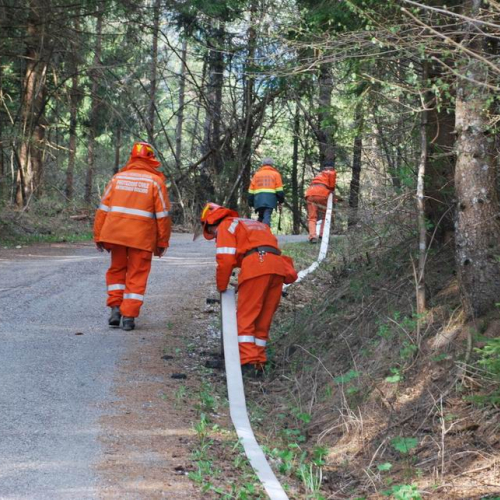 Forni di Sotto 2011 n. 28 / 64131