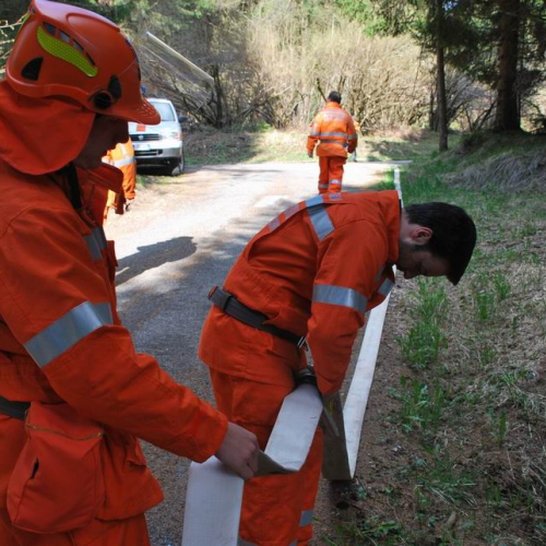 Forni di Sotto 2011 n. 29 / 64132