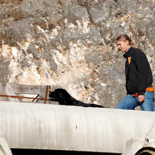 Foto Stage 25 marzo 36 / 49754