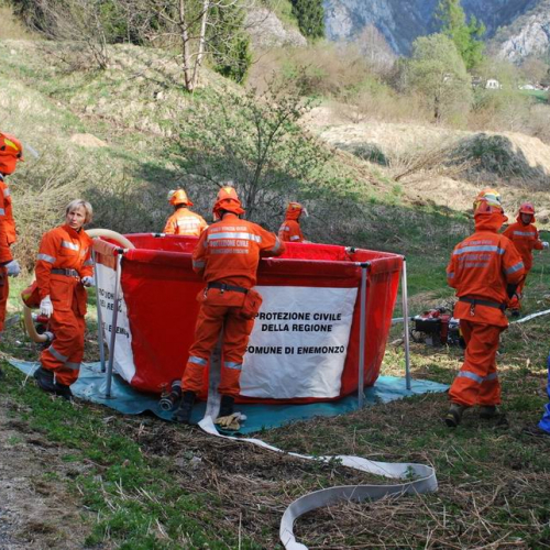 Forni di Sotto 2011 n. 31 / 64134