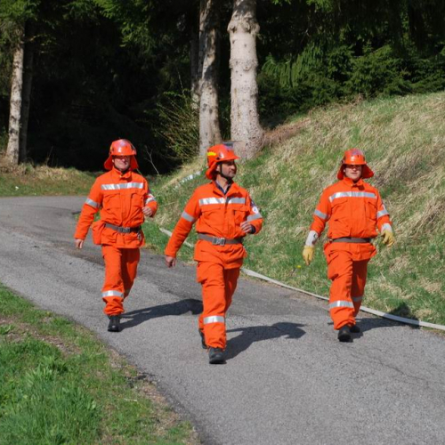 Forni di Sotto 2011 n. 32 / 64135