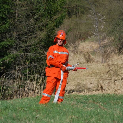 Forni di Sotto 2011 n. 33 / 64136