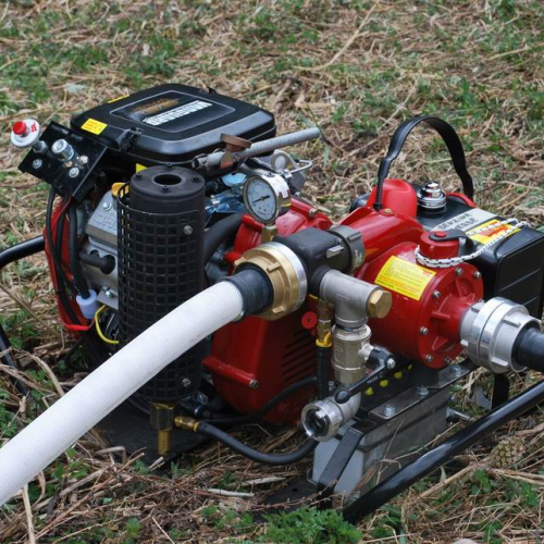 Forni di Sotto 2011 n. 35 / 64138