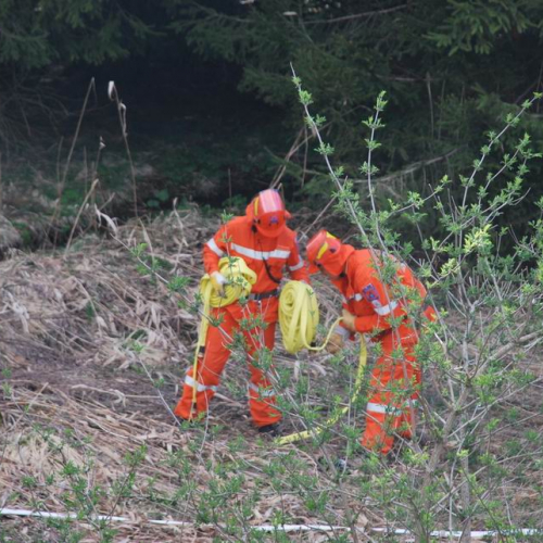 Forni di Sotto 2011 n. 36 / 64139