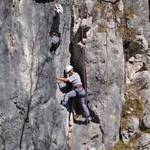 Stage Protezione civile (24.03.2011) n. 70 / 62830