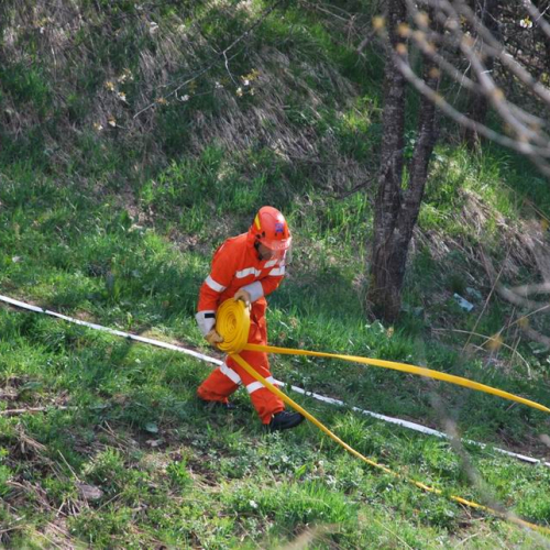 Forni di Sotto 2011 n. 37 / 64140