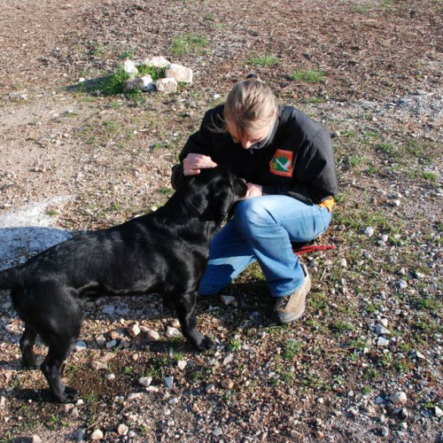 Foto Stage 25 marzo 37 / 49755