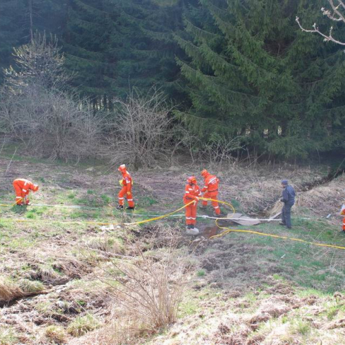 Forni di Sotto 2011 n. 39 / 64142