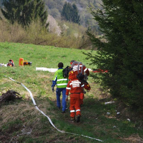 Forni di Sotto 2011 n. 40 / 64143