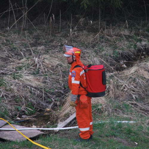 Forni di Sotto 2011 n. 41 / 64144