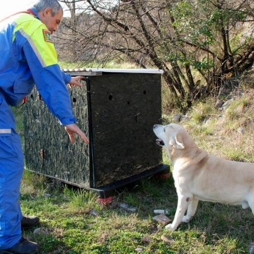 Foto Stage 25 marzo 39 / 49757