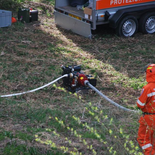 Forni di Sotto 2011 n. 42 / 64145