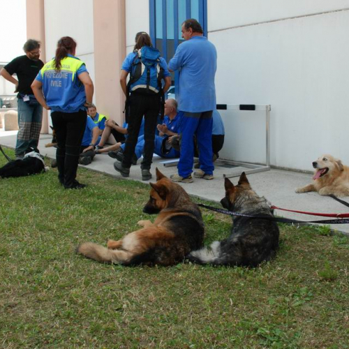 MERETO 2010 n. 26 / 54063