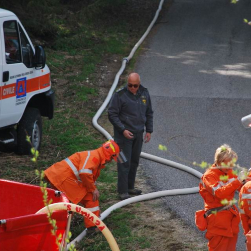 Forni di Sotto 2011 n. 44 / 64147