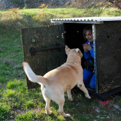 Foto Stage 25 marzo 40 / 49758