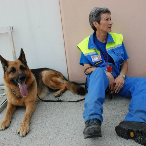 MERETO 2010 n. 27 / 54064