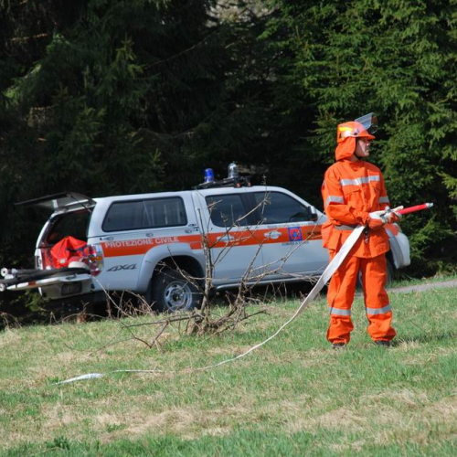 Forni di Sotto 2011 n. 46 / 64149