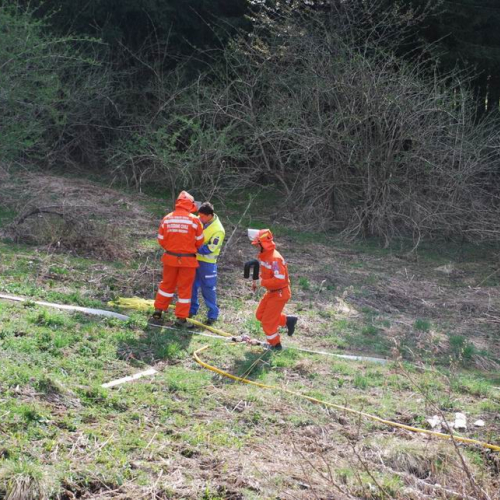 Forni di Sotto 2011 n. 47 / 64150